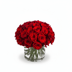 Rose Devotion